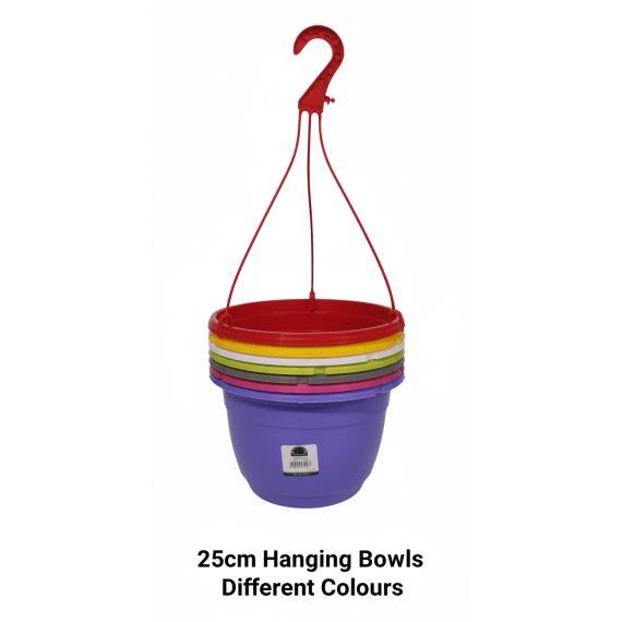sanscape hanging bowl picture 3