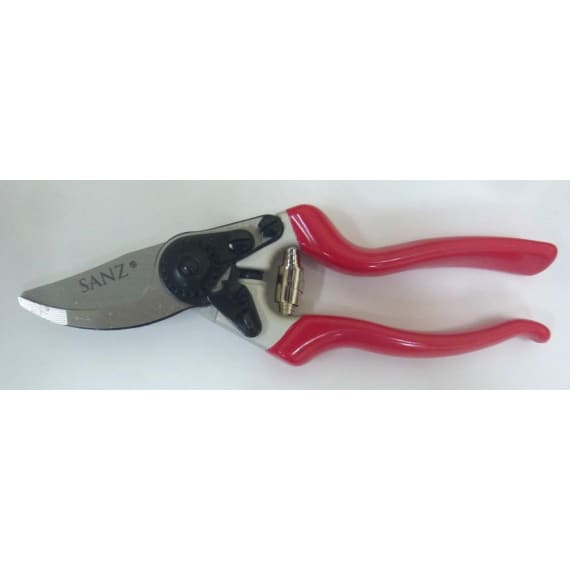 sanz pruner s421 picture 3