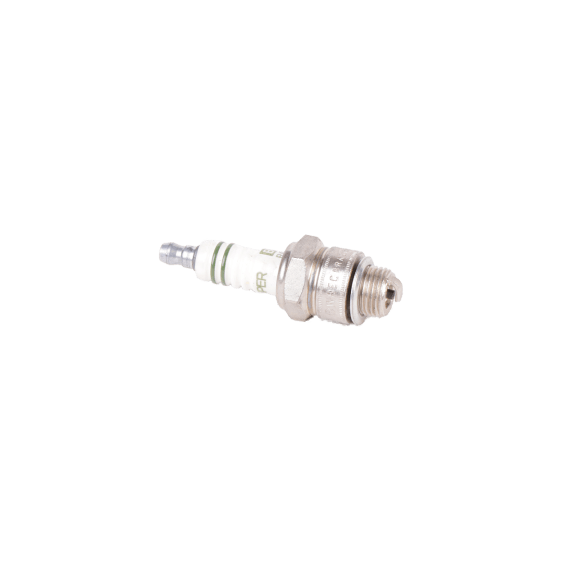 spark plug picture 1