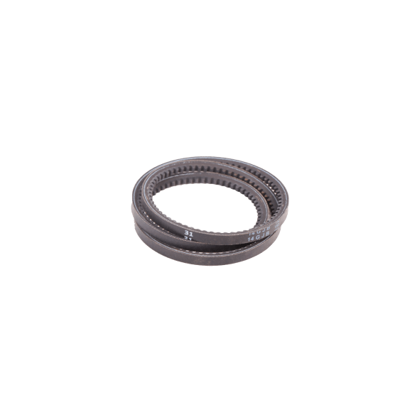 belt 768713 picture 1
