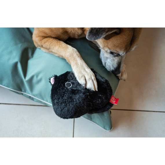 dog s life surprise toy the black cat picture 3