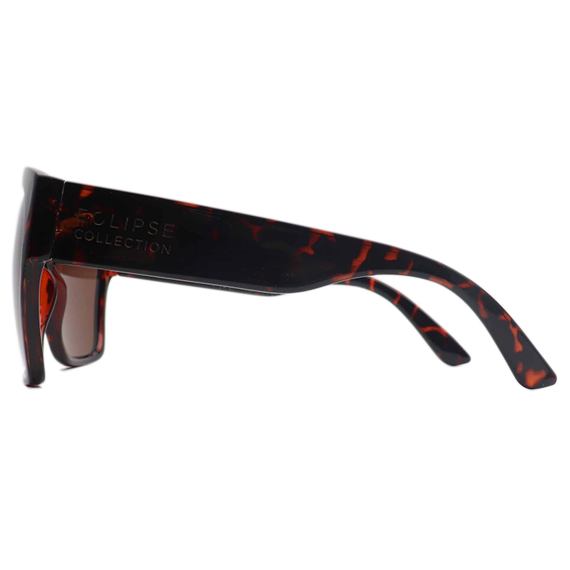 belmont round polarised sunnies tortoiseshell picture 3