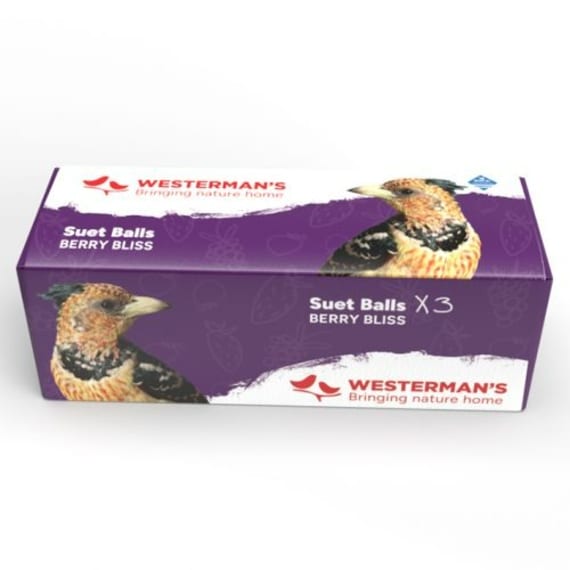 westerman suet balls berry x 3 picture 1