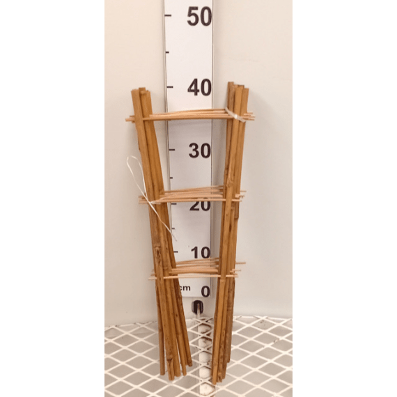 bamboo trellis picture 5
