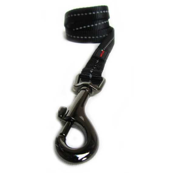 dog s life web leash picture 5