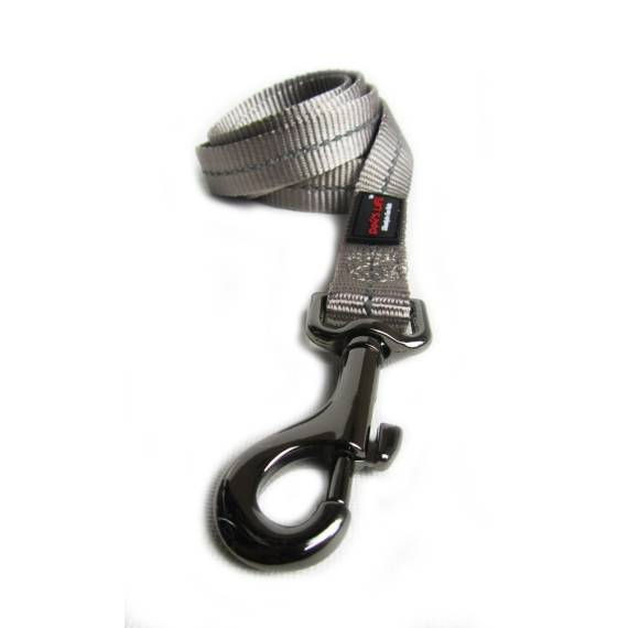 dog s life web leash picture 1