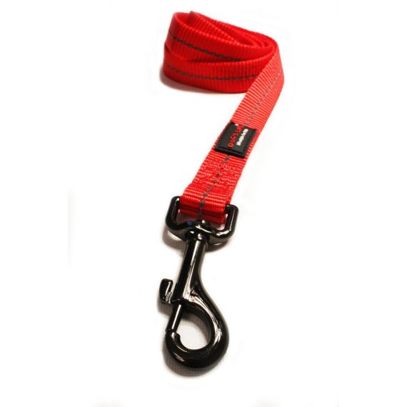 dog s life web leash picture 4