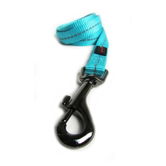 dog s life web leash picture 2