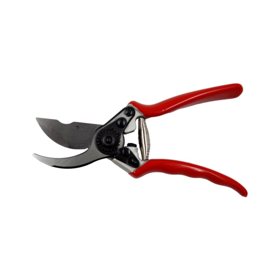 carpa shears pruning 01m22 picture 2