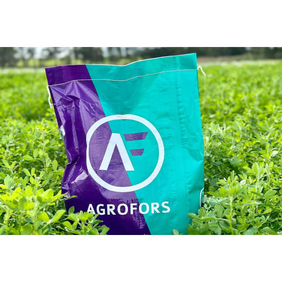 agrofors sendero rye grass 25kg picture 1