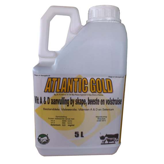 atlantic gold picture 1