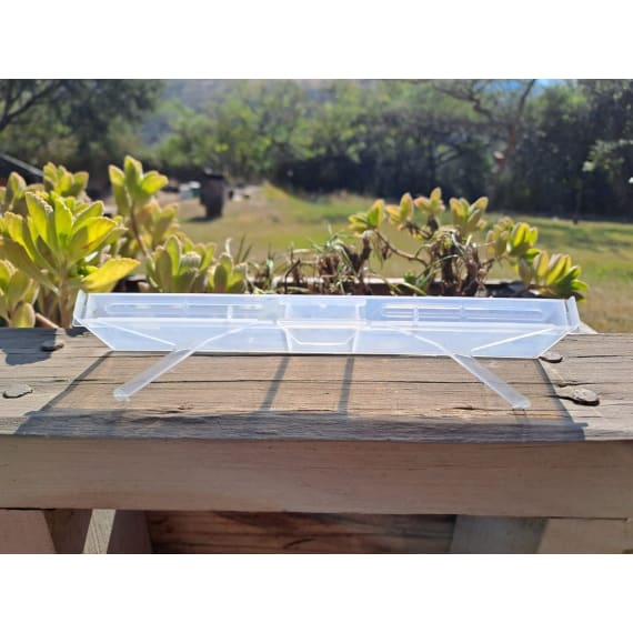 bb beetle trap picture 2