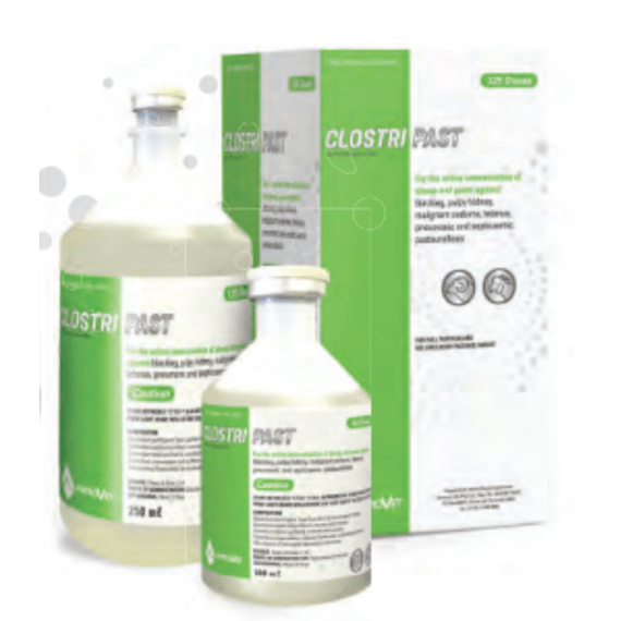 antrovet clostri past 250ml picture 1