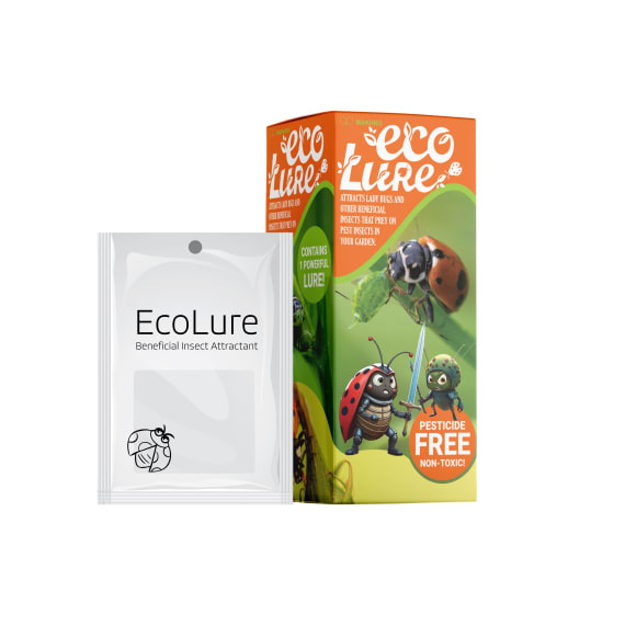 makhro eco lure pesticide 1pack picture 2