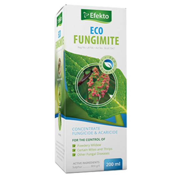 efekto eco fungimite picture 1