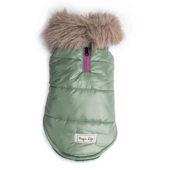 dog s life gilet puffer mint picture 1