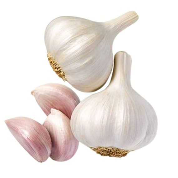 m r garlic p kg picture 1