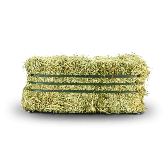 equi oaten hay 20kg picture 1