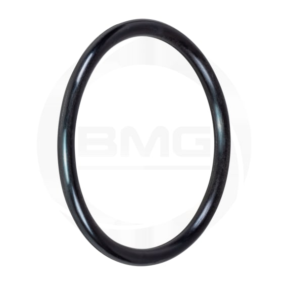 o ring 83962391 picture 1