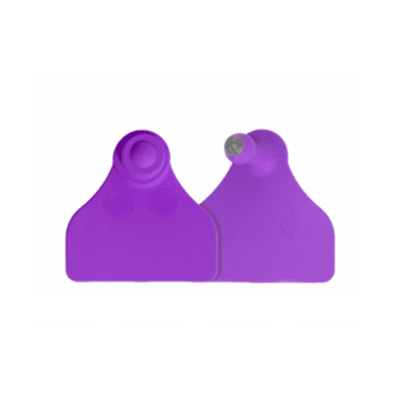 kyron z tag mini flag m f purple 100 picture 1