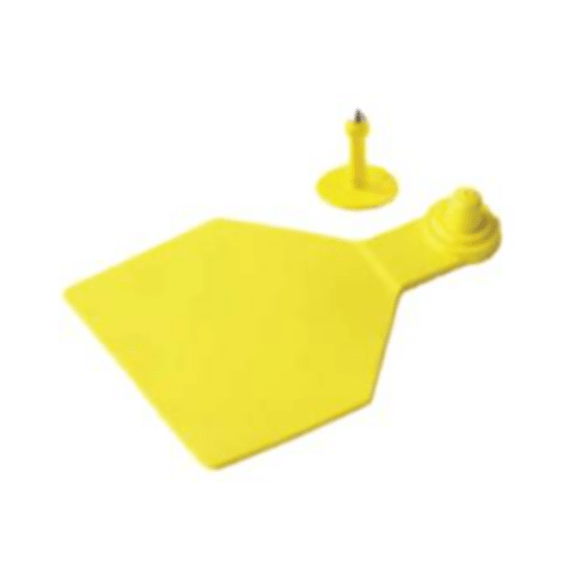 kyron z tag m1 f4 yellow 10 picture 1