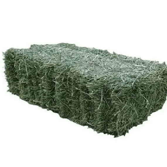 marakov lucerne bale gr1 p bale picture 1