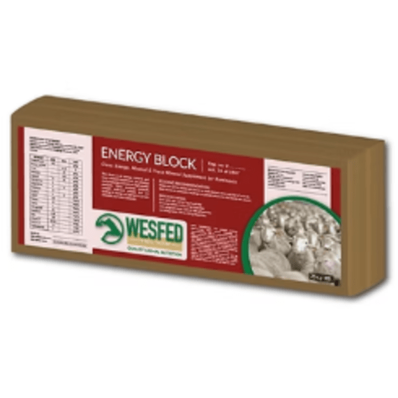 lionels energy block 25kg picture 1