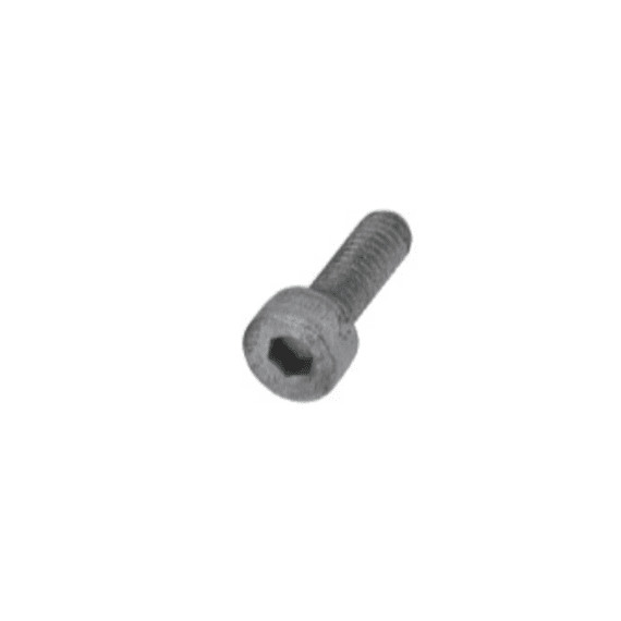 headscrew allen key s s 4x20mm picture 1