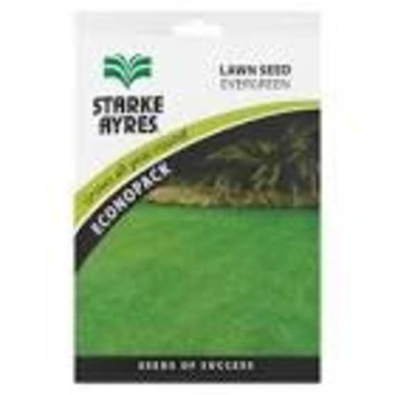 starke ayres lawn evergreen mix ep picture 1