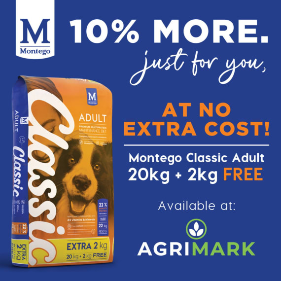 montego classic adult dry dog food 22kg picture 2
