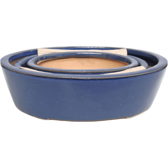 potport bd bonsai oval pot glazed picture 1