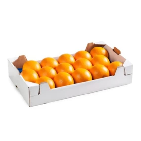 ctn cit orange m15d 187mm gen m a 1 picture 1