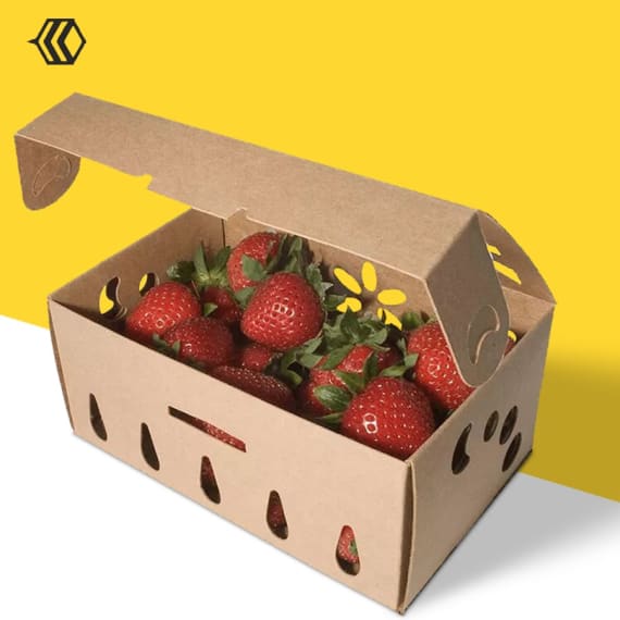 ctn s berry toro 4kg 16x250g 1 picture 1