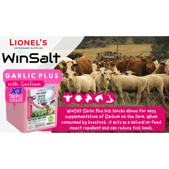 lionels livestock block garlic plus 20kg picture 1