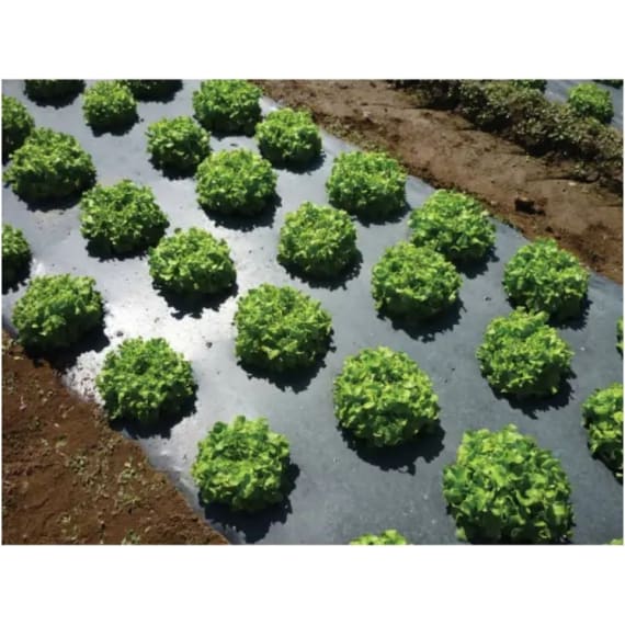 amec mulch recycled 1 5 x 50 30mic picture 2