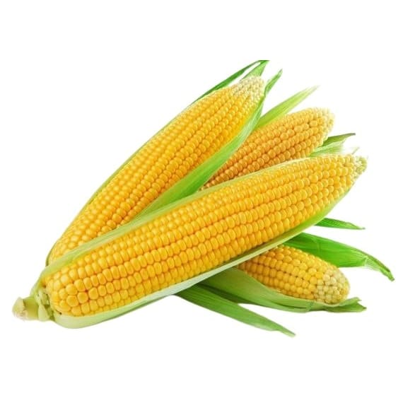 m r vegetables sweetcorn prepack each picture 1