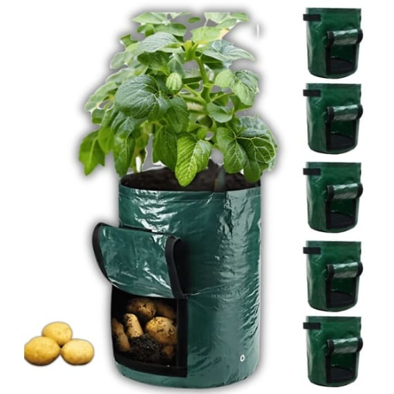 vp bag potato gen 3kg green 1 picture 1