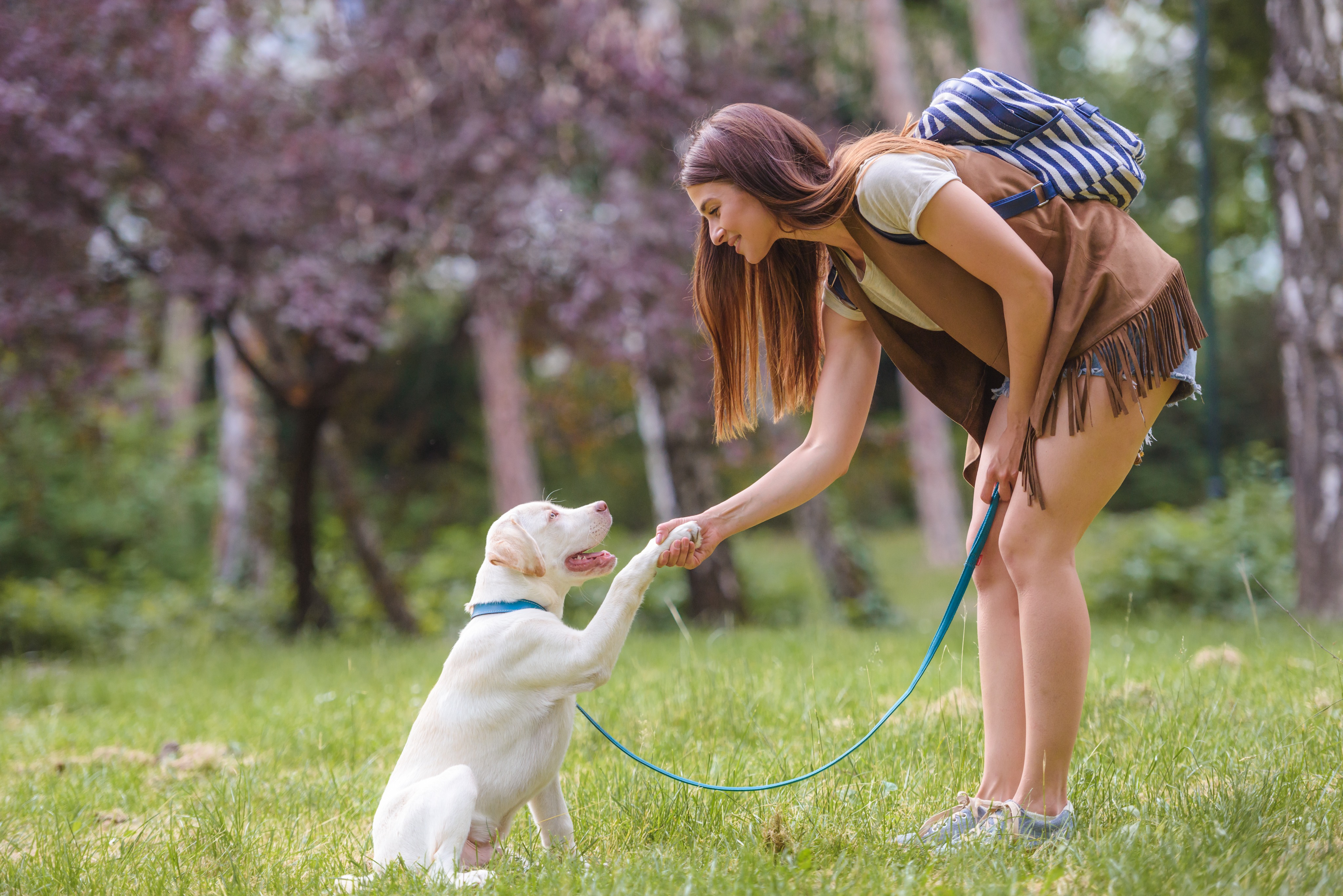 20 Things To Do With Your Dog This Summer