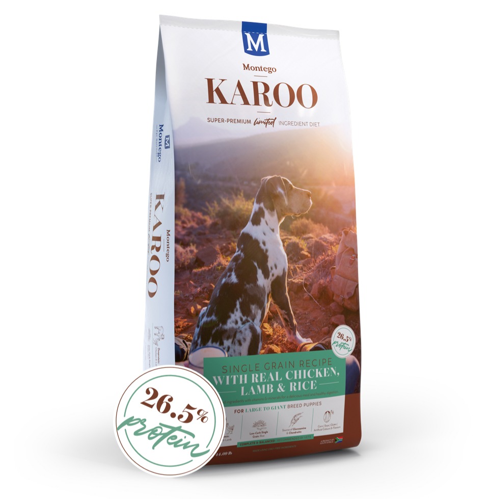 Single grain cheap dog food