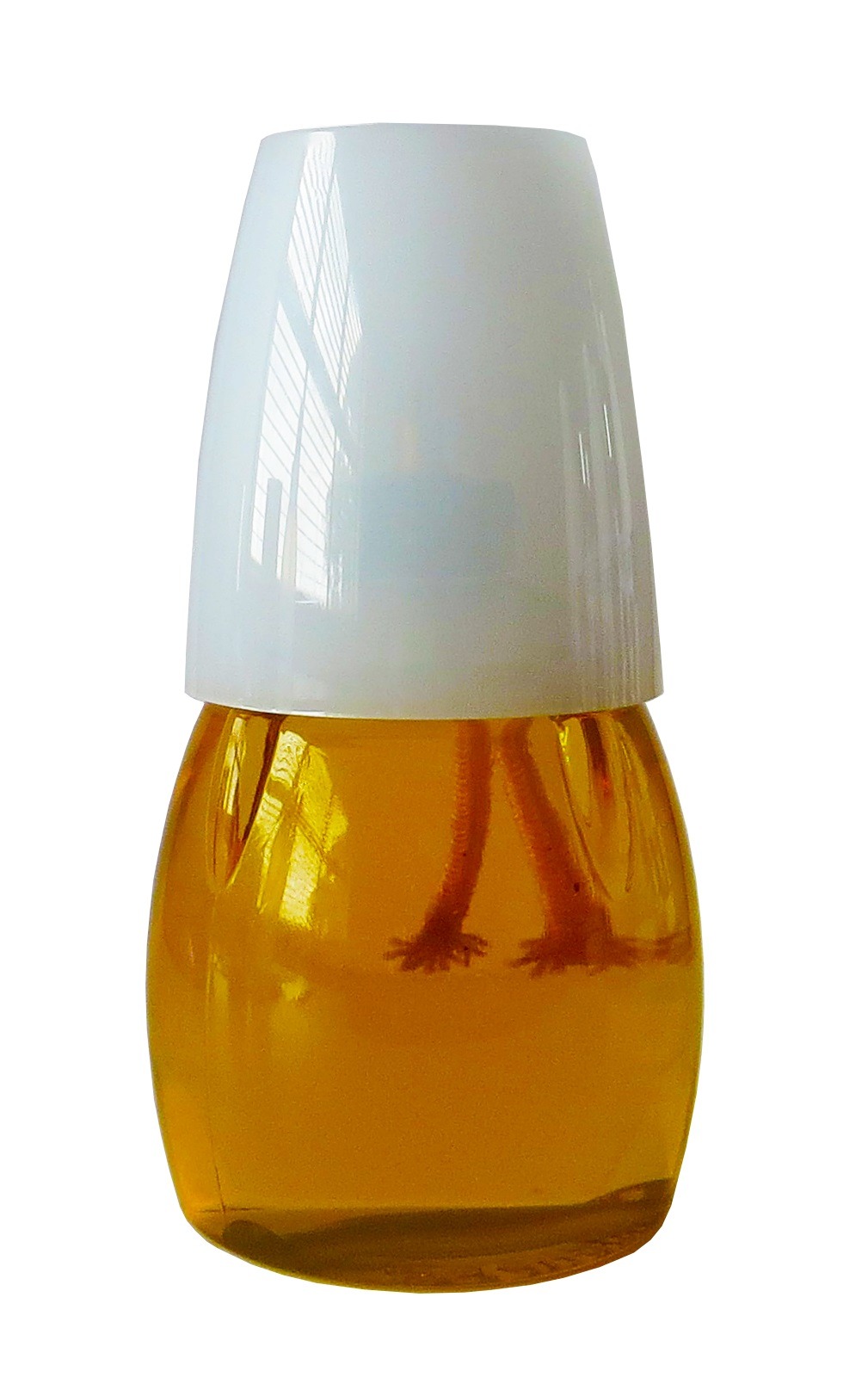 delights Citronella Oil Lamp Agrimark