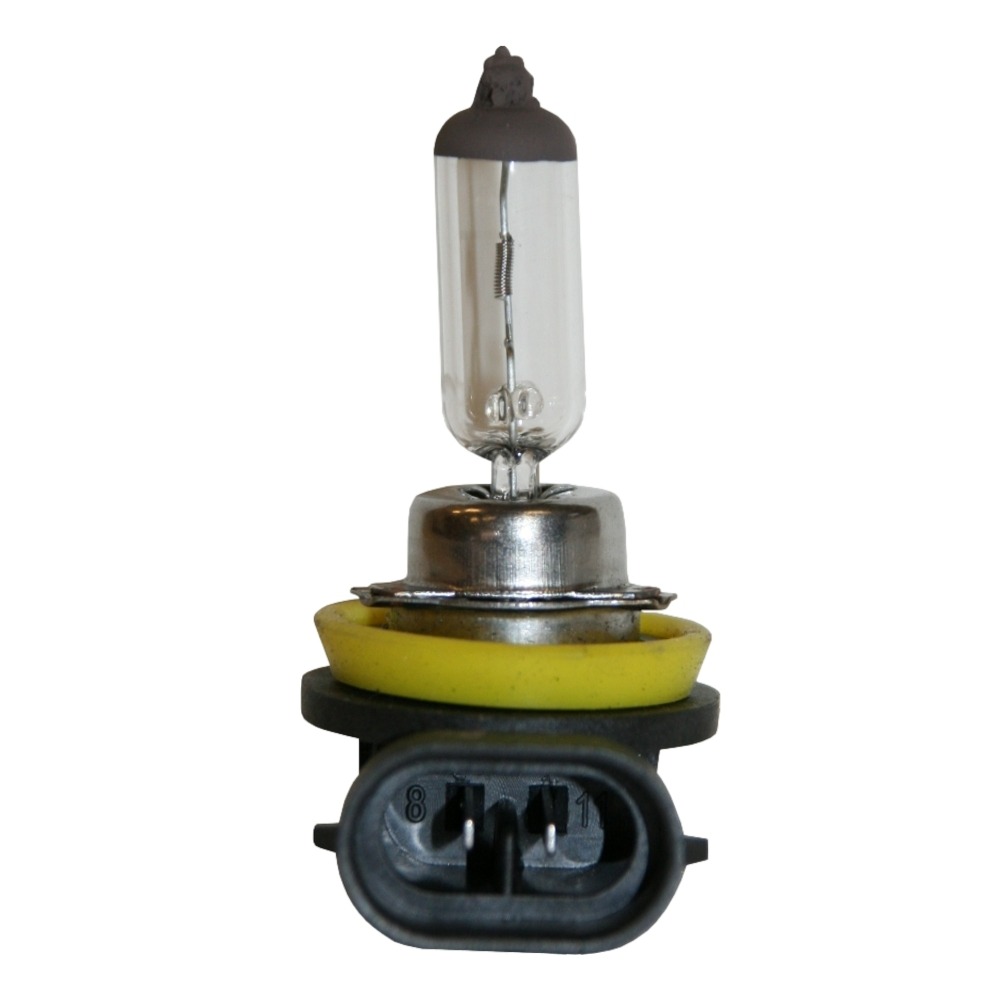 Ryan Globe H11-12v-60/55w | Agrimark