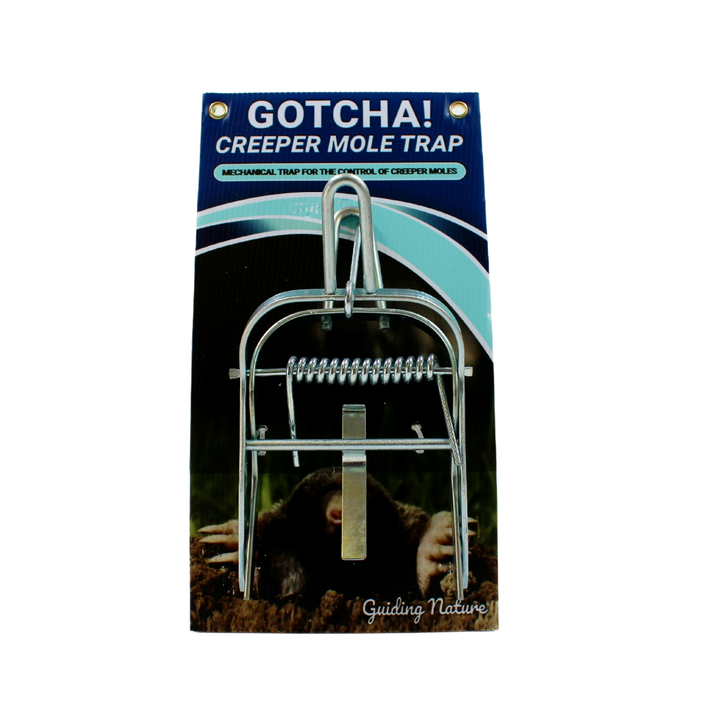 Mole Box Trap at John Triche blog