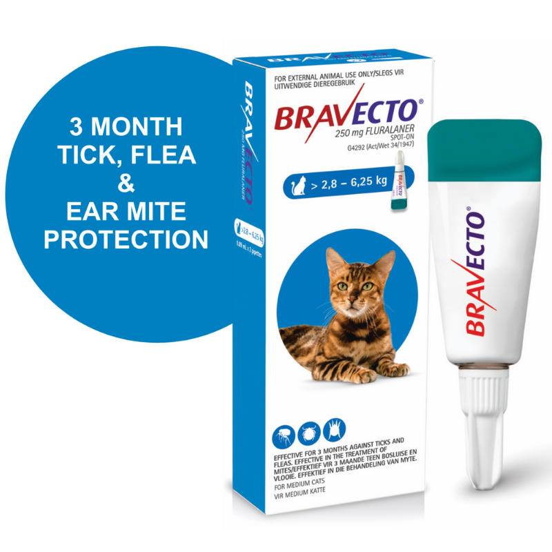 Bravecto Spot On Cat Sm 250mg 2.86.25kg Agrimark