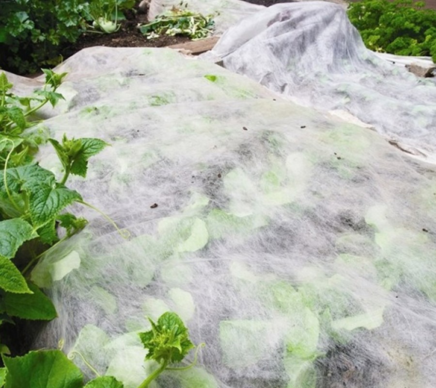 Coolaroo Frost Cloth 15gsm 0.9x20m White Agrimark