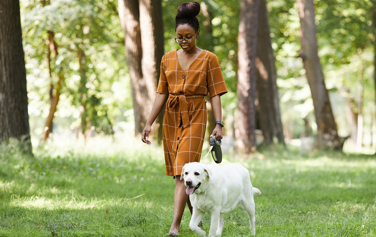 Dog Walking Etiquette