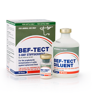 Bef Db Vaccine Bef-tect 3day Stiff 50d 100ml | Agrimark
