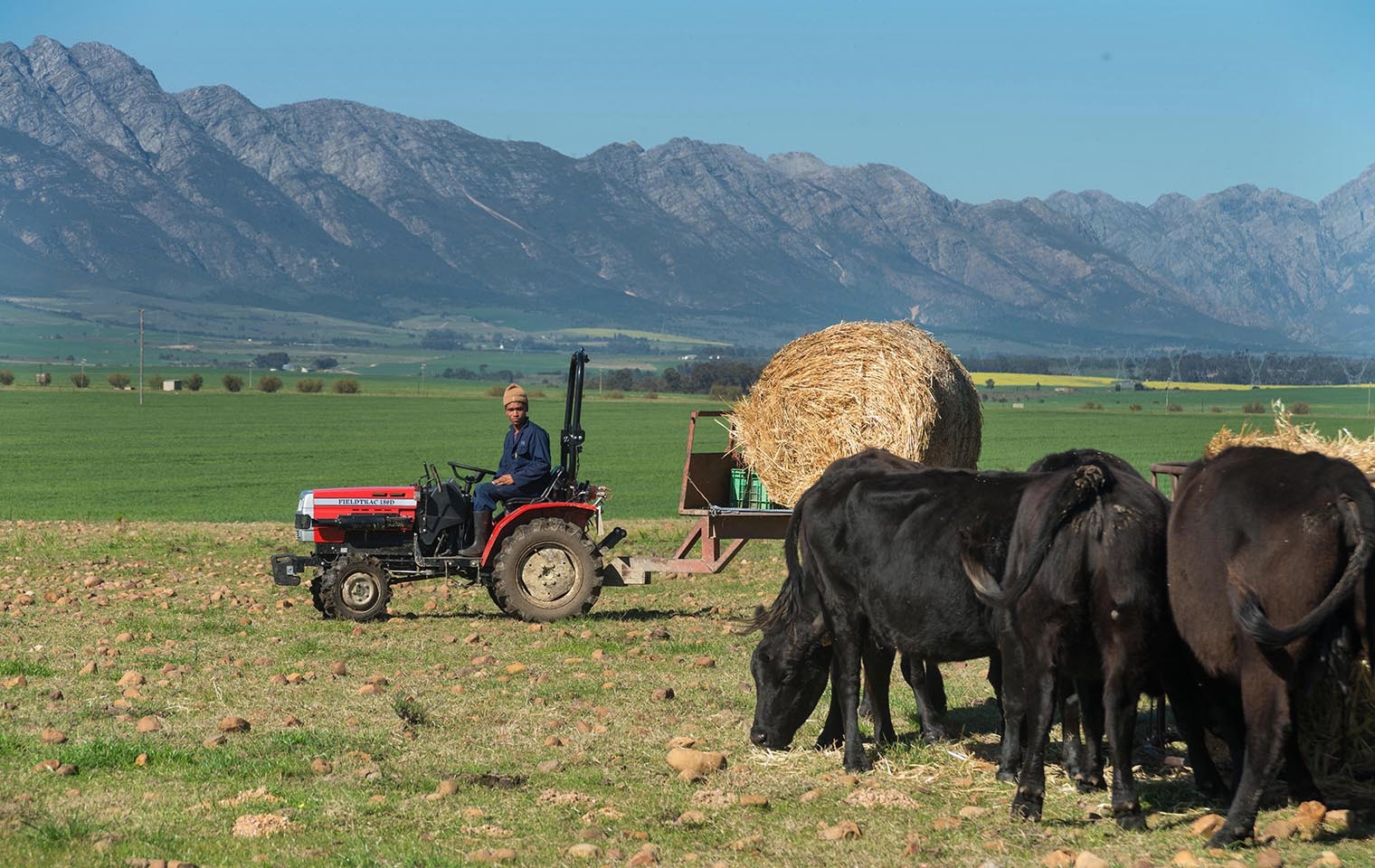 Small tractor handling big workload now available at Agrimark