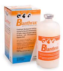 Msd Vaccine Blanthrax 150ml | Agrimark
