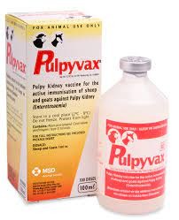 Msd Vaccine Pulpyvax 250ml | Agrimark