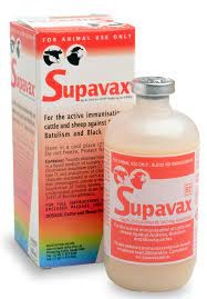 Msd Vaccine Supavax 50ml | Agrimark